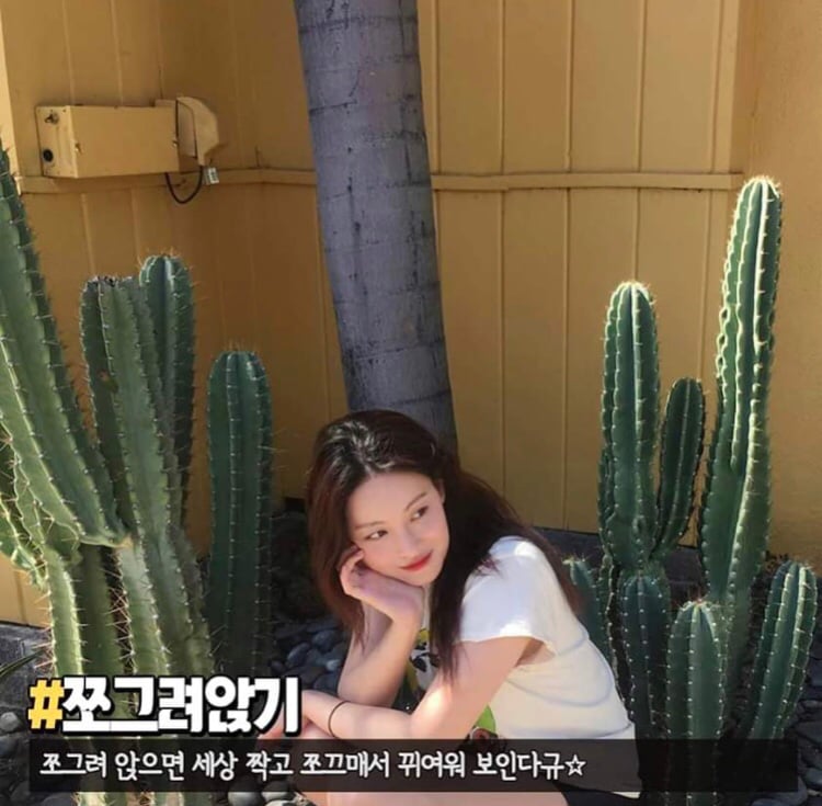 사진 찍을때 하면 좋은 포즈들 | 인스티즈