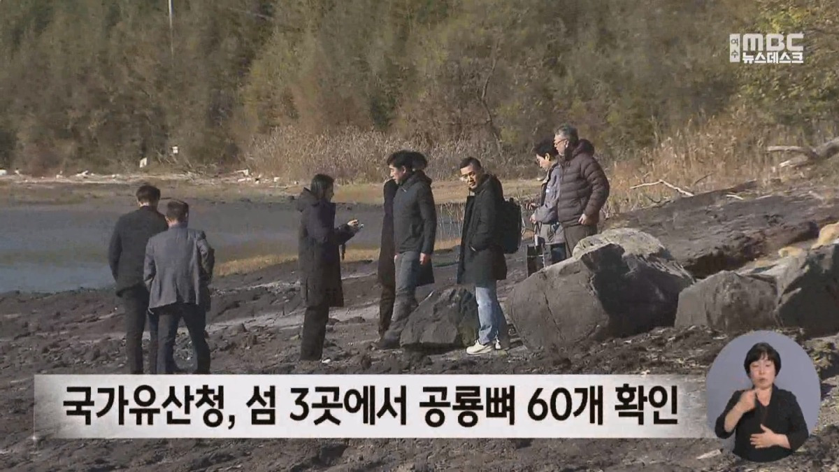 여수 무인도에서 공룡뼈가 무더기로 발견됨.jpg | 인스티즈