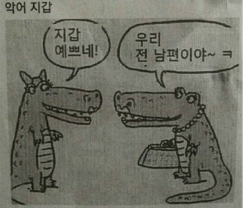 선 넘는 개그가 취향이라 참 난감하다 | 인스티즈