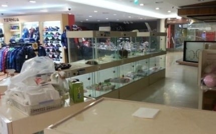 7년간 14번 출산...말티즈의 비참한 최후 | 인스티즈