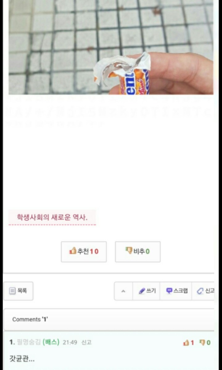 성균관대 총여학생회 폐지사건 정리(aka멘토스 혁명) | 인스티즈