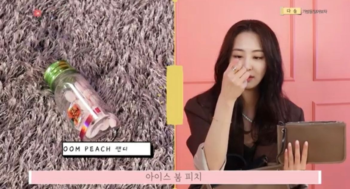 연예인 인마이백 속 간식 모음 | 인스티즈