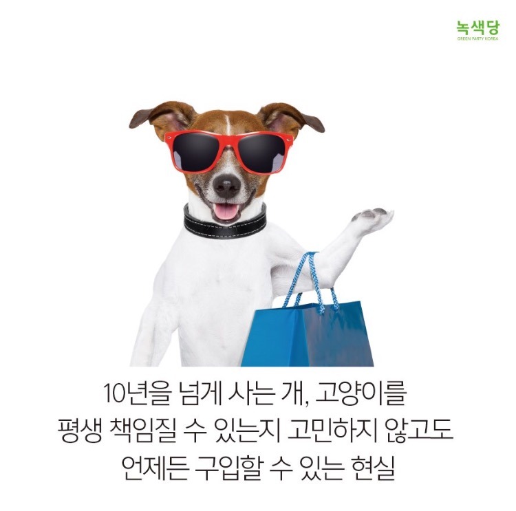 동물 학대하는 공장의 현실.jpg (불쌍함 주의) | 인스티즈