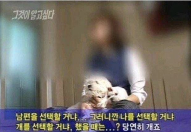 선 넘는 개그가 취향이라 참 난감하다 | 인스티즈