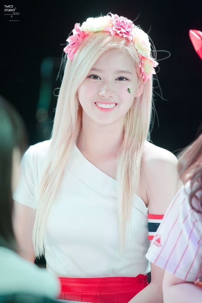 트와이스 사나 글씨체 | 인스티즈