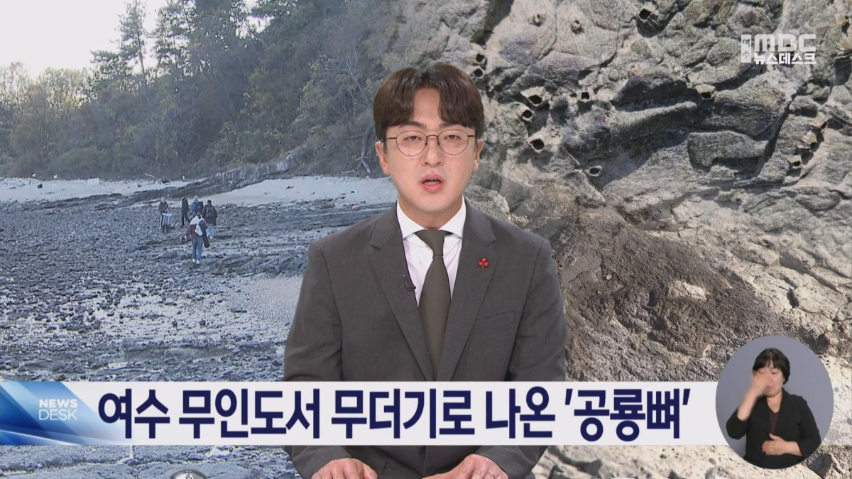 여수 무인도에서 공룡뼈가 무더기로 발견됨.jpg | 인스티즈