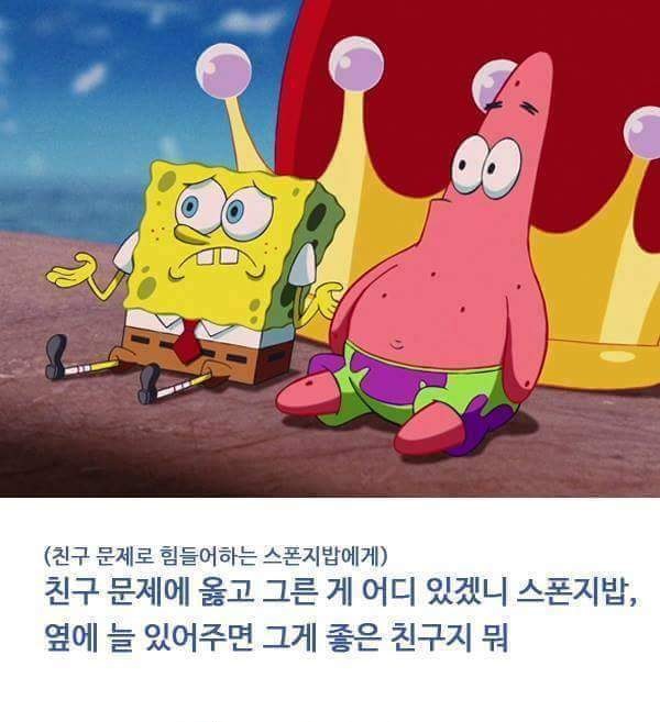 스폰지밥 과 뚱이의우정 | 인스티즈