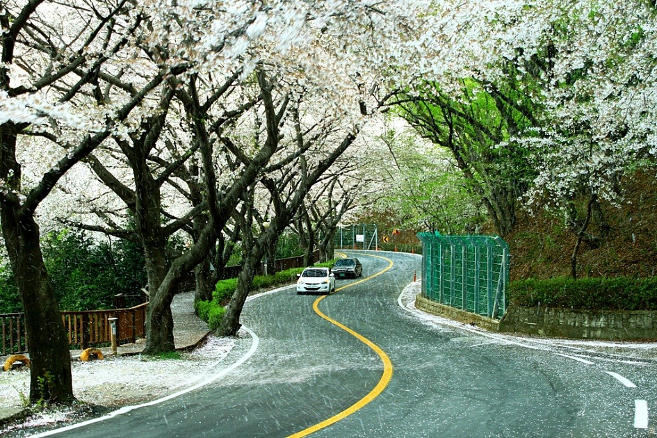 대한민국 최고의 드라이브코스들 총망라 | 인스티즈