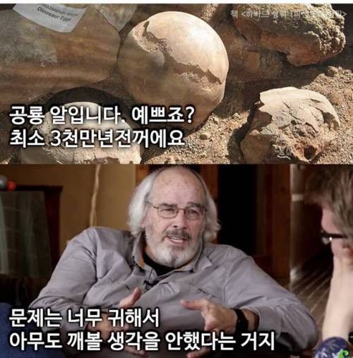 인생이 꽉막힐땐 공룡알을 떠올리세요.. | 인스티즈