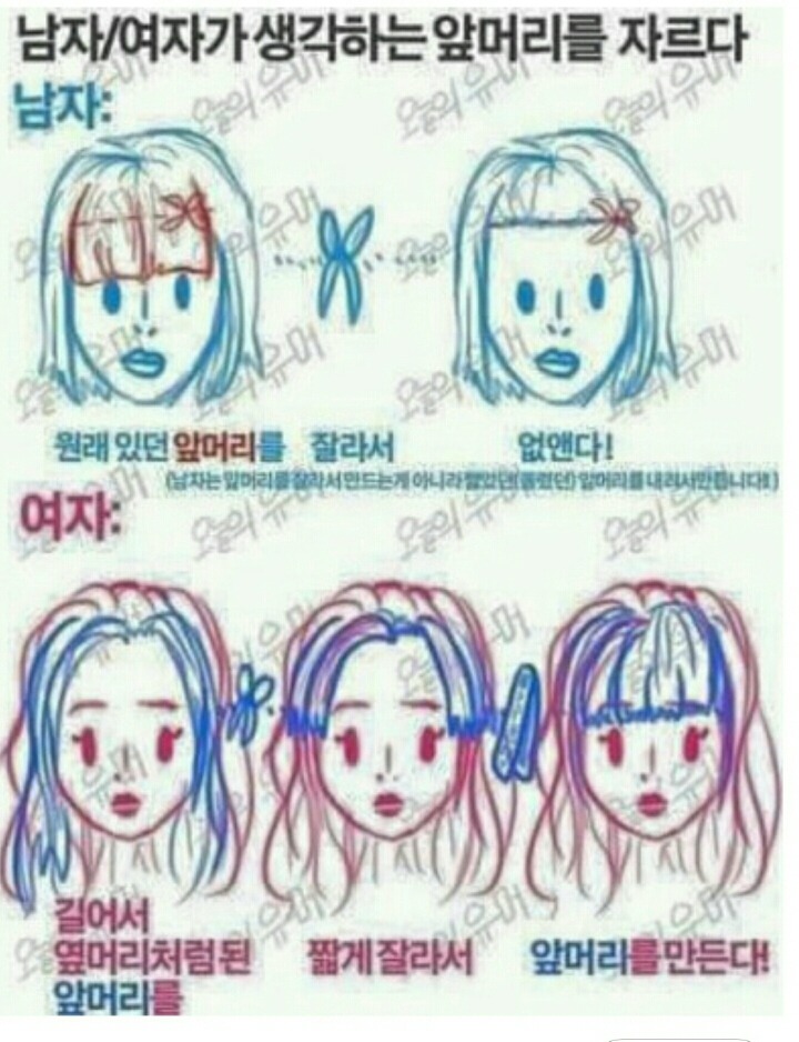 남 녀가 생각하는 앞머리 자르기 jpg | 인스티즈