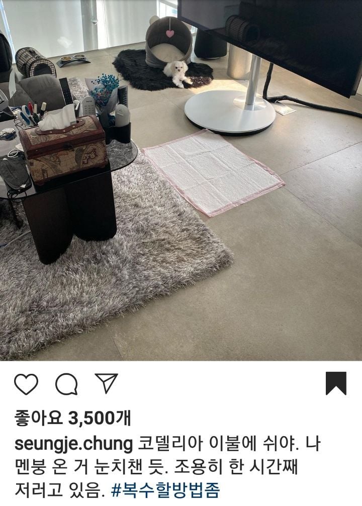 수학 1타강사 정승제 선생님 반려견 코델리아 | 인스티즈