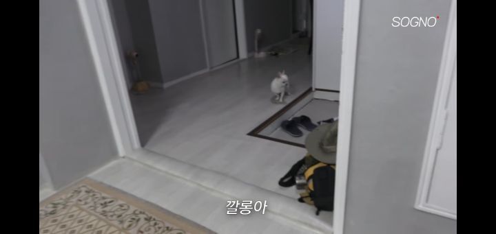 토익 575점 맞은 어느 유튜버의 루틴(+그의 토익 꿀팁) | 인스티즈