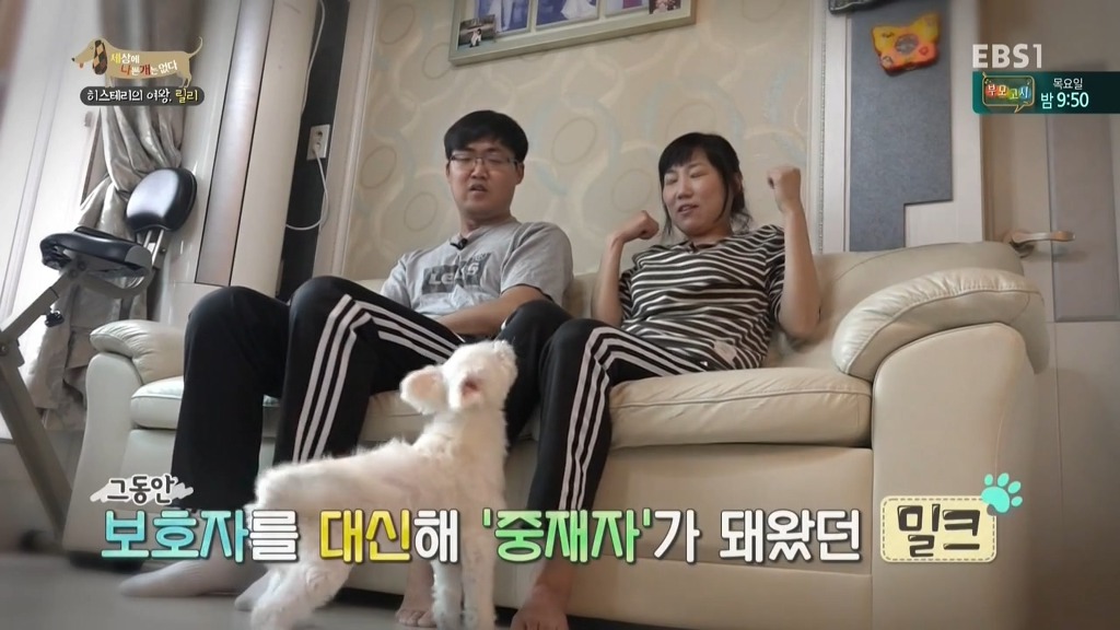[세상에나쁜개는없다] 가족들에게 짖고 무는 강아지 릴리햏 | 인스티즈