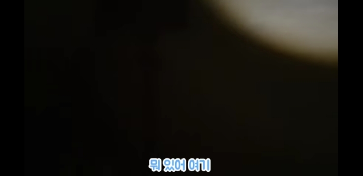 흉가에서 강아지 구조 | 인스티즈
