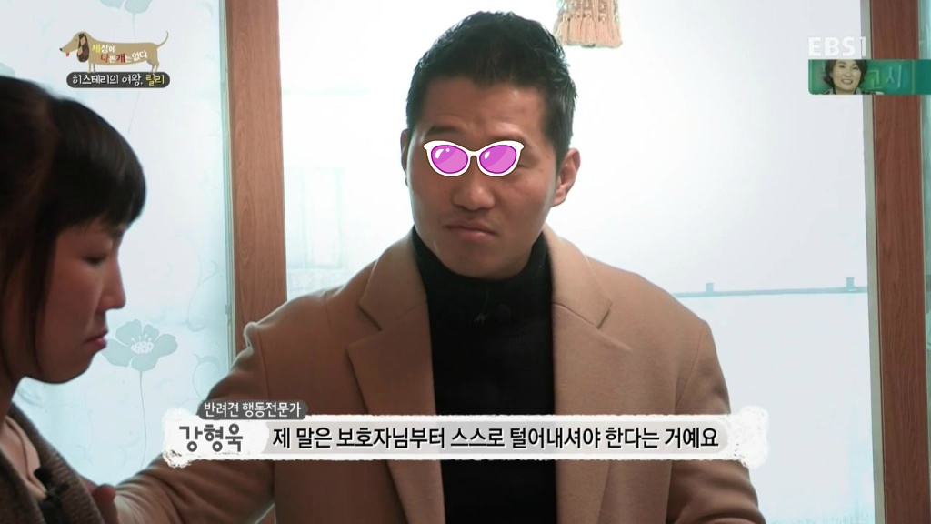 [세상에나쁜개는없다] 가족들에게 짖고 무는 강아지 릴리햏 | 인스티즈