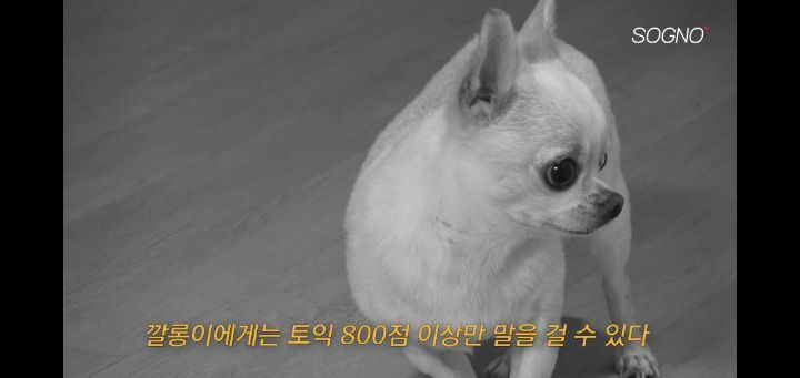토익 575점 맞은 어느 유튜버의 루틴(+그의 토익 꿀팁) | 인스티즈