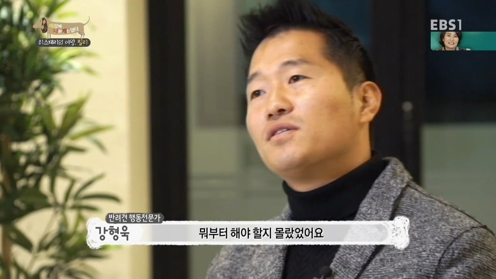 [세상에나쁜개는없다] 가족들에게 짖고 무는 강아지 릴리햏 | 인스티즈
