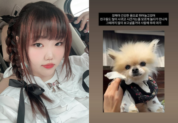 악뮤 이수현, 반려견과 안타까운 이별…"사랑해 우리 아가" | 인스티즈