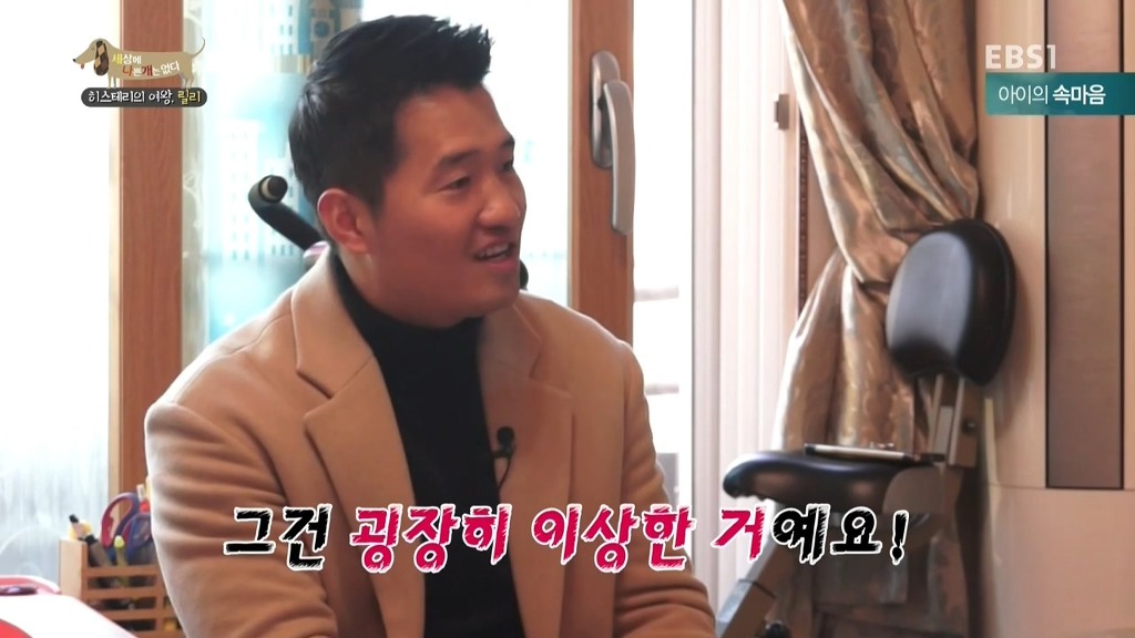 [세상에나쁜개는없다] 가족들에게 짖고 무는 강아지 릴리햏 | 인스티즈