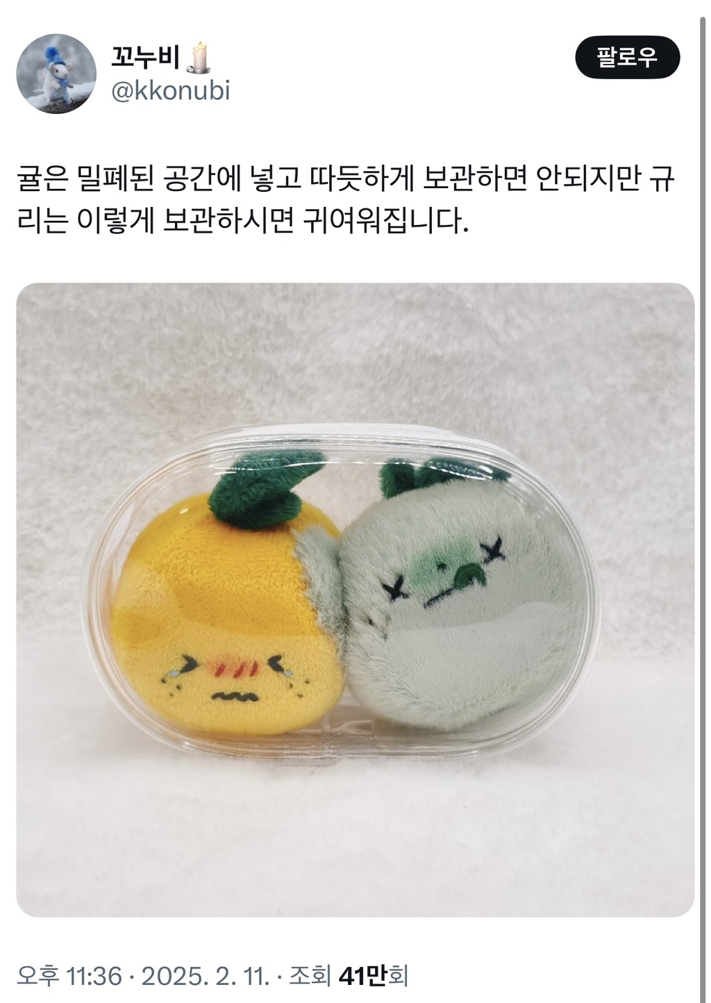 논쟁중인 썩은귤 인형 | 인스티즈