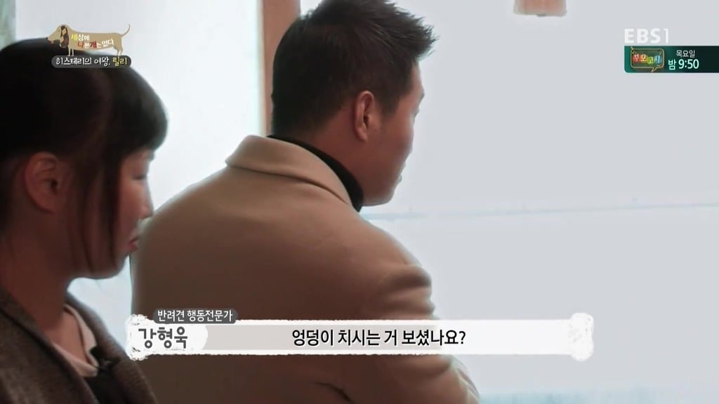 [세상에나쁜개는없다] 가족들에게 짖고 무는 강아지 릴리햏 | 인스티즈