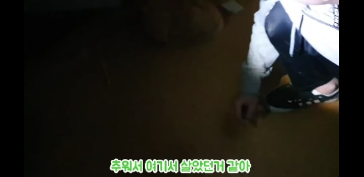 흉가에서 강아지 구조 | 인스티즈