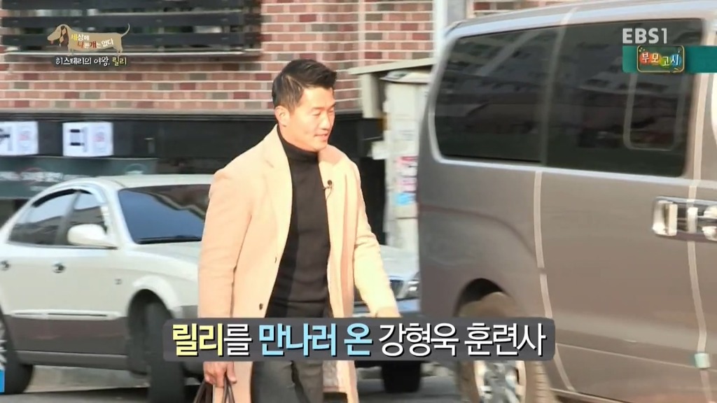 [세상에나쁜개는없다] 가족들에게 짖고 무는 강아지 릴리햏 | 인스티즈