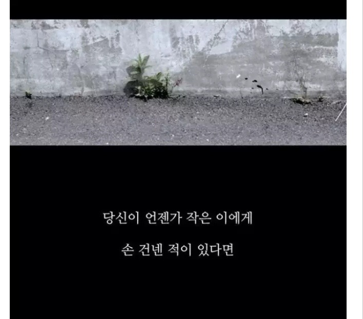 한번 보고 말 사람인데 | 인스티즈