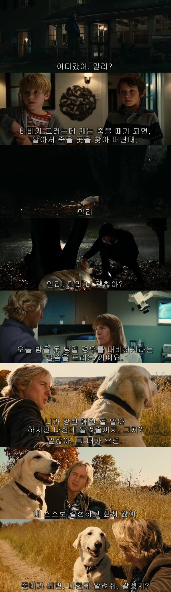 본 사람들은 불호가 거의 없다는 영화들 ㄷㄷㄷ.jpg | 인스티즈