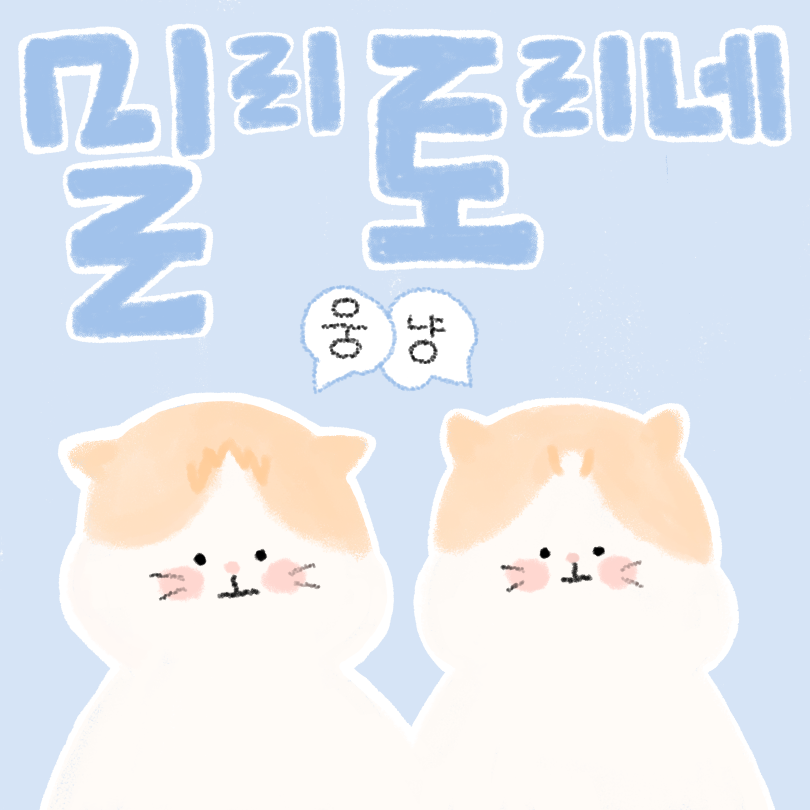 아까 버스 기다리는데 내 앞 남자가 우산 없이 기다리고 있길래 걍 뒤에서 살짝 같이 썼단말야 | 인스티즈