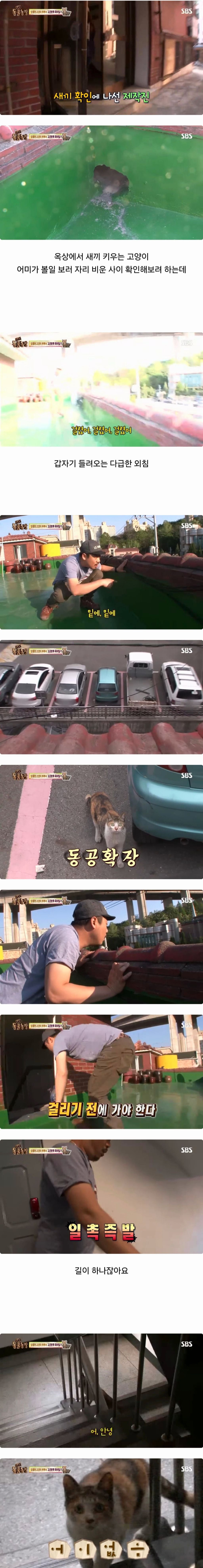 동물농장 레전드 새끼 확인하다 걸린 제작진 | 인스티즈