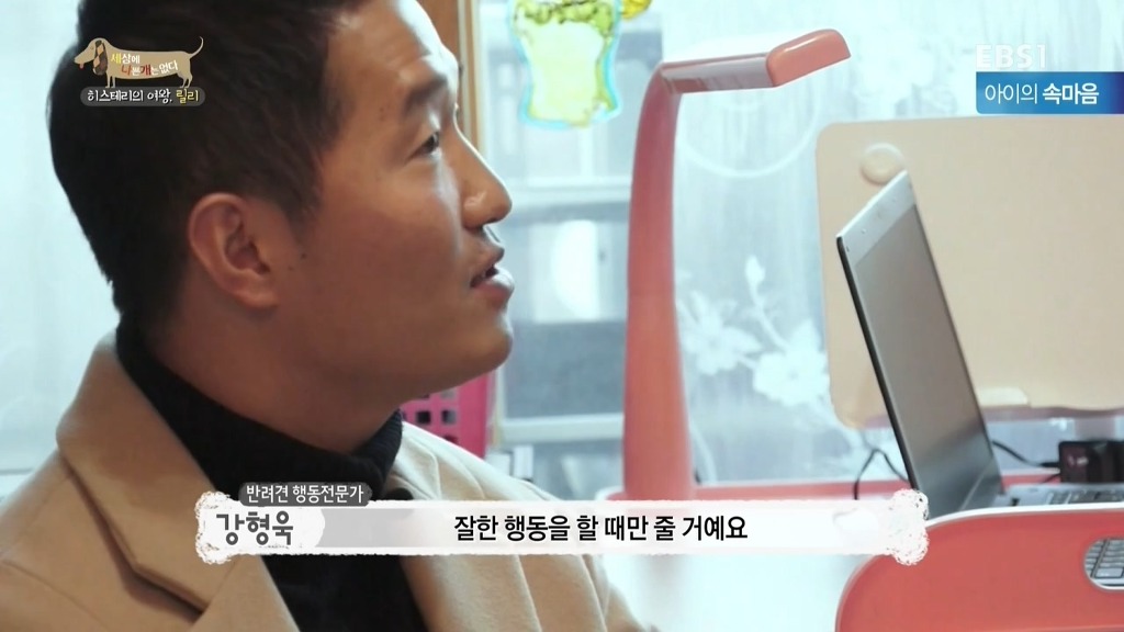 [세상에나쁜개는없다] 가족들에게 짖고 무는 강아지 릴리햏 | 인스티즈