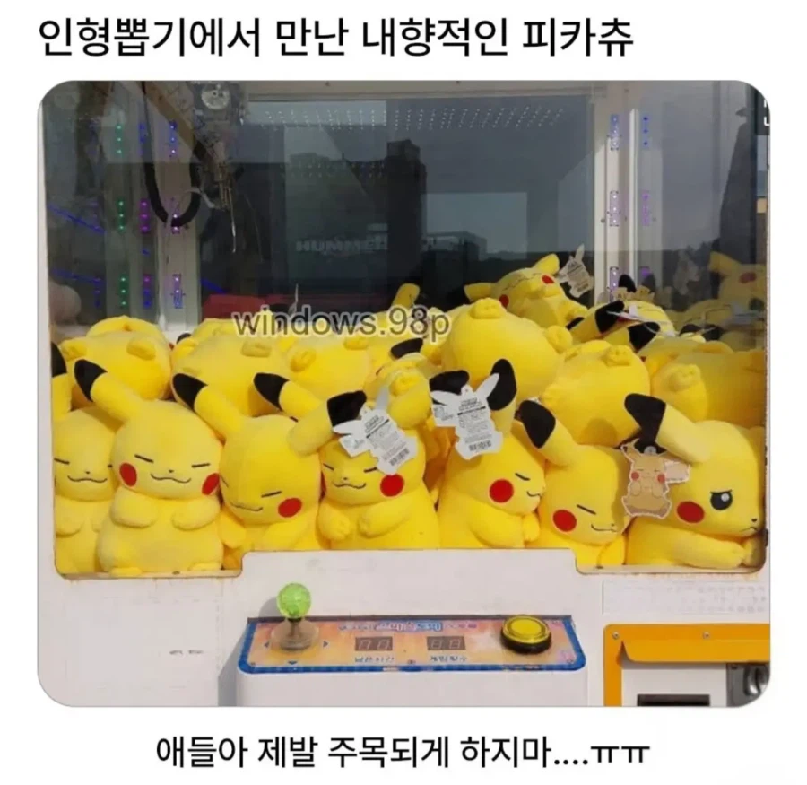 인형뽑기에서 만난 내향적인 피카츄 | 인스티즈
