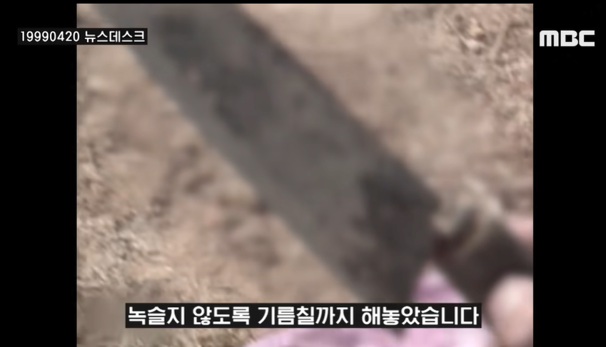 이순신 장군묘에서 발견되었던 식칼과 쇠말뚝 | 인스티즈