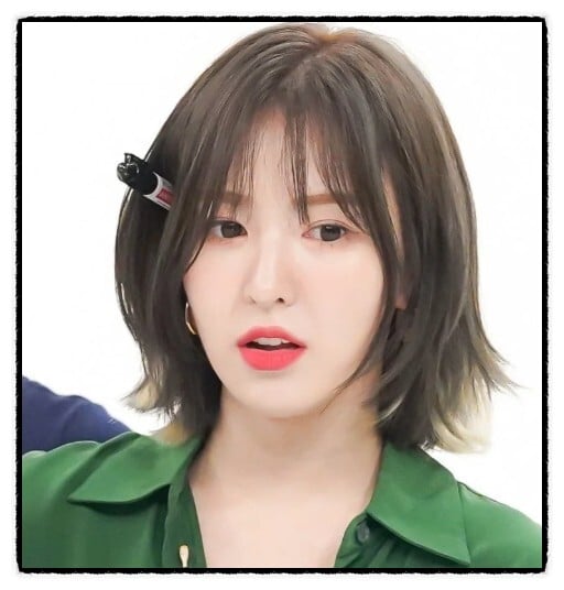레드벨벳 웬디 데뷔초~현재 스타일링 변화 | 인스티즈