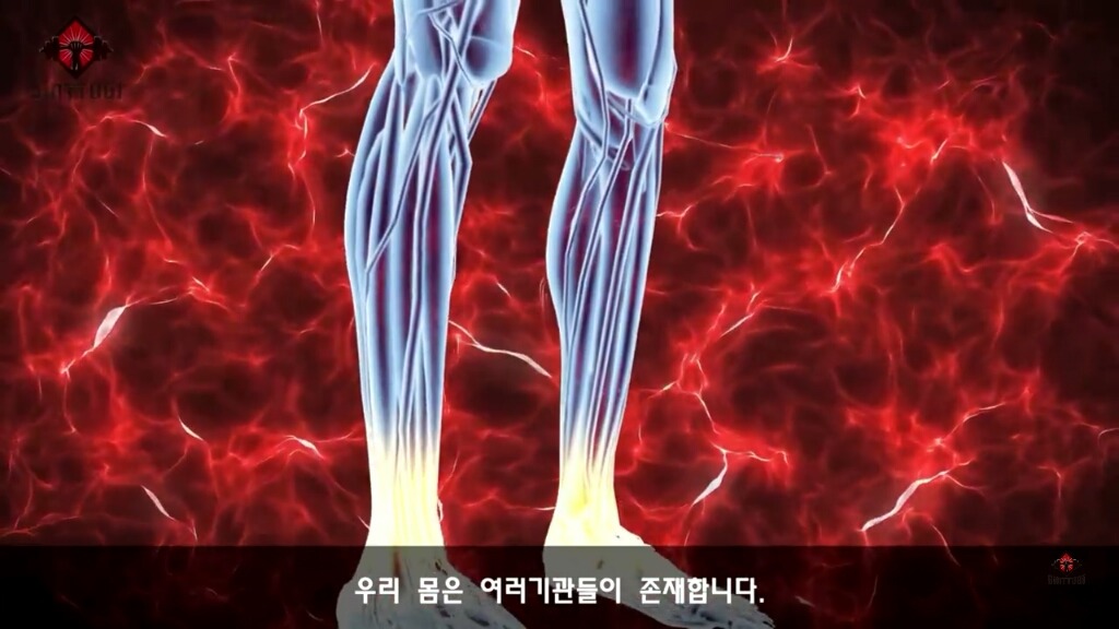 우리가 몰랐던 기초대사량의 진실 | 인스티즈