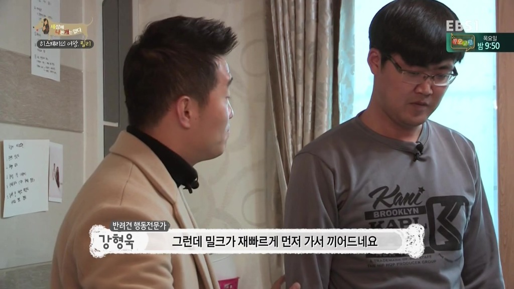 [세상에나쁜개는없다] 가족들에게 짖고 무는 강아지 릴리햏 | 인스티즈