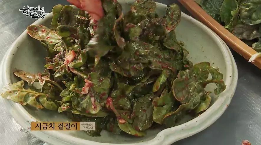 한국인의 밥상 - 비금도 시금치 | 인스티즈