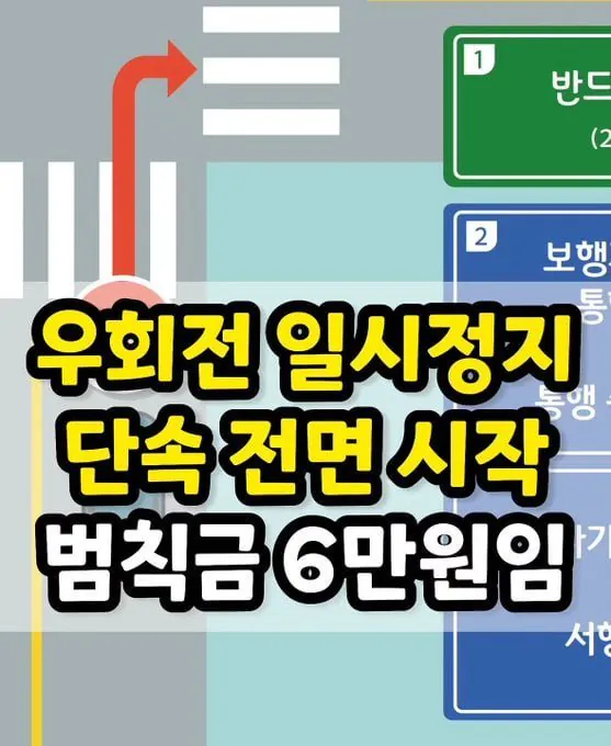 4월 20일부터 '우회전 위반' 집중 단속 시작 | 인스티즈