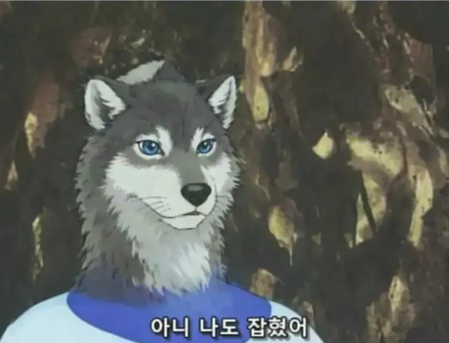 대전 오월드로 돌아온 늑구 그 후 | 인스티즈