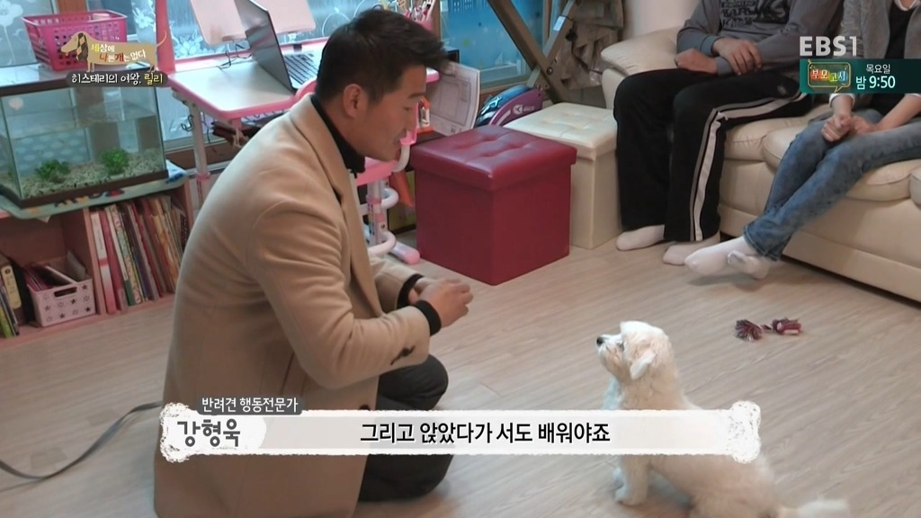 [세상에나쁜개는없다] 가족들에게 짖고 무는 강아지 릴리햏 | 인스티즈