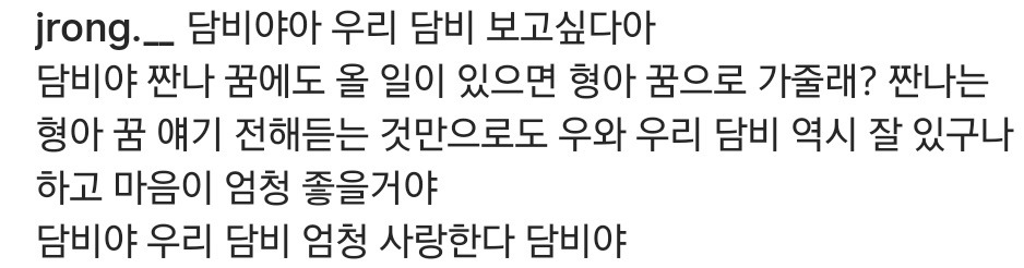 강아지별로 떠난 담비 인스타그램(+짠나 댓글) | 인스티즈