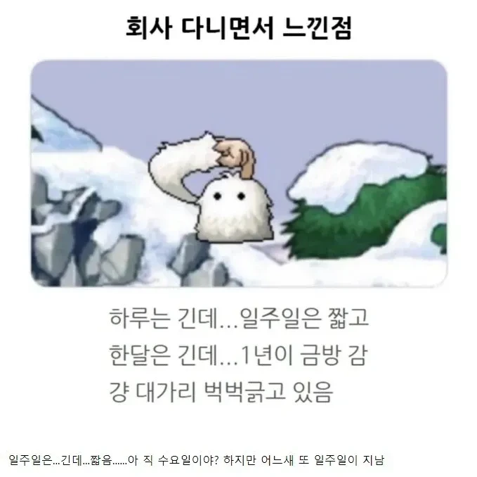 회사다니면서 느낀 요상한 시간의 흐름 | 인스티즈