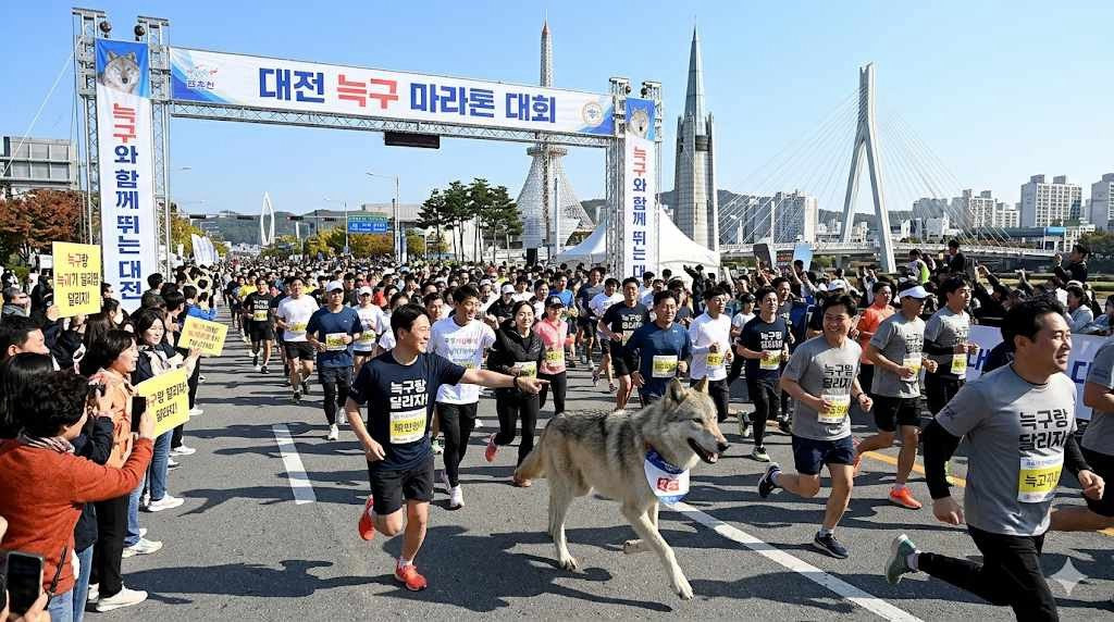@: 사람들 늑구로 뇌절하는거 왤케 웃기냐 | 인스티즈
