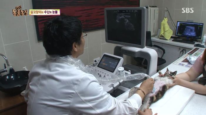 눈앞에서 제 아이가 맞아죽었습니다. 도와주세요 | 인스티즈