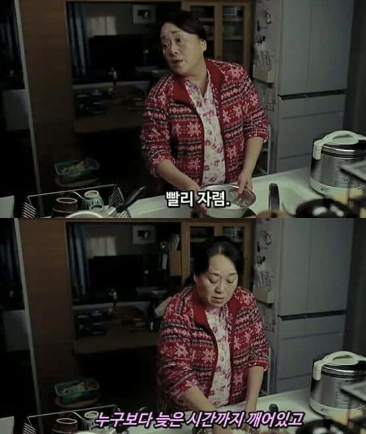 만약 내 동생이라면 팬다 vs 안팬다 | 인스티즈