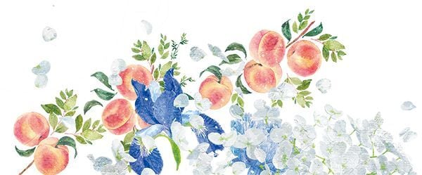 명작 로판/로설 속 첫 문장들 | 인스티즈