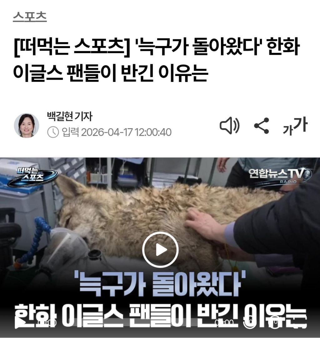 소름끼치는 늑구의 저주 (대전) | 인스티즈
