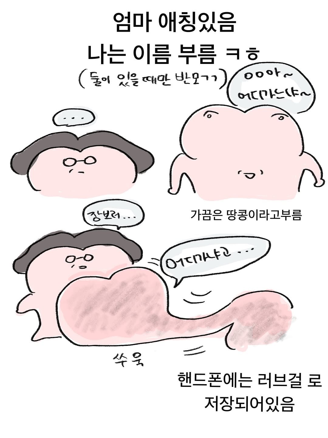엄미새 특징 | 인스티즈