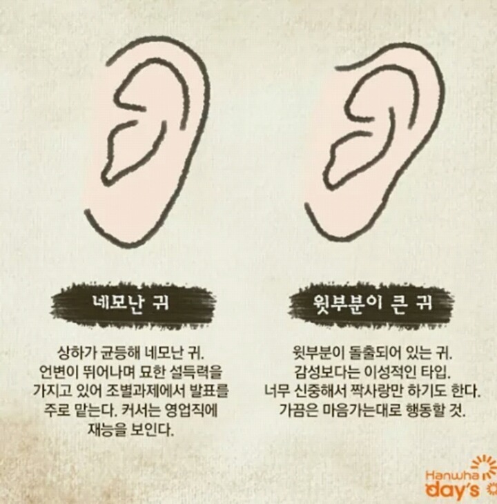 귀 모양으로 보는 성격 | 인스티즈